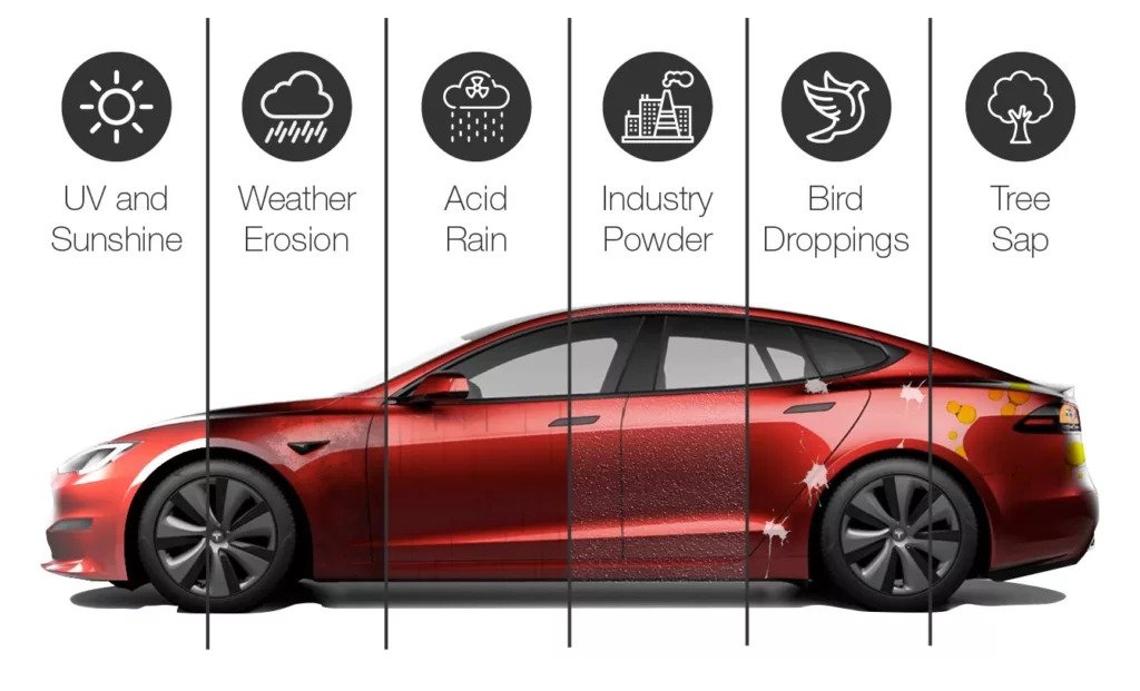 Argus PPF - Best Paint Protection Film in India